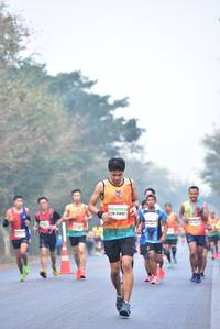 BIB: 25842, 
                            <button type="button" onclick="openModal(10134705)" class="btn btn-primary btn-sm float-right btn-popup" data-toggle="modal" data-target=".modal-high-quality">
                        <i class="fas fa-shopping-cart"></i> Add to Cart
                    </button>
                                            <button type="button" onclick="isThisMe(10134705, true)" class="btn btn-success btn-sm float-right btn-popup btn-isme hidden" data-toggle="tooltip" data-placement="bottom" title="นี่คือรูปของคุณใช่ไหม คลิกที่นี่เพื่อเอาเข้าอัลบั้ม">
                        <i class="fas fa-plus"></i> Add to album
                    </button>
                    <button type="button" onclick="isThisMe(10134705, false)" class="btn btn-warning btn-sm float-right btn-popup btn-isnotme hidden">
                        <i class="fas fa-ban"></i> Remove from album
                    </button>